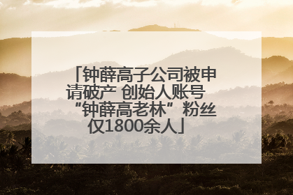 钟薛高子公司被申请破产 创始人账号“钟薛高老林”粉丝仅1800余人