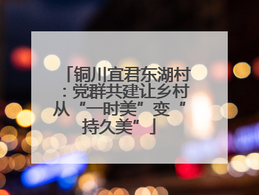 铜川宜君东湖村：党群共建让乡村从“一时美”变“持久美”