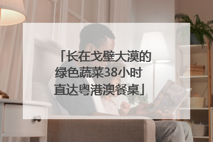 长在戈壁大漠的绿色蔬菜38小时直达粤港澳餐桌
