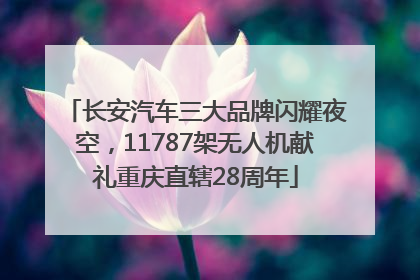 长安汽车三大品牌闪耀夜空，11787架无人机献礼重庆直辖28周年