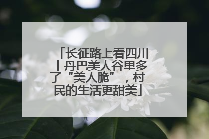长征路上看四川丨丹巴美人谷里多了“美人脆”，村民的生活更甜美