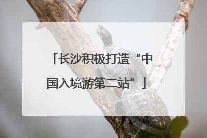 长沙积极打造“中国入境游第二站”