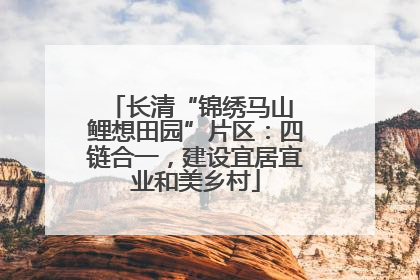 长清“锦绣马山 鲤想田园”片区：四链合一，建设宜居宜业和美乡村