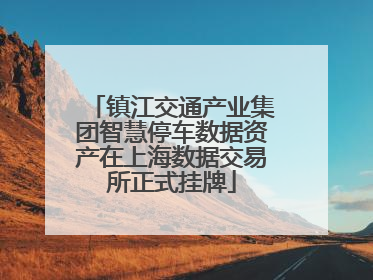 镇江交通产业集团智慧停车数据资产在上海数据交易所正式挂牌