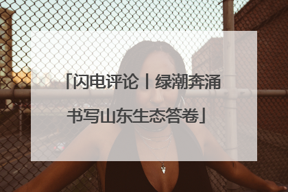 闪电评论丨绿潮奔涌 书写山东生态答卷