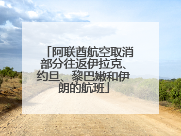 阿联酋航空取消部分往返伊拉克、约旦、黎巴嫩和伊朗的航班
