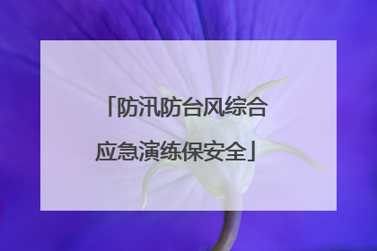 防汛防台风综合应急演练保安全
