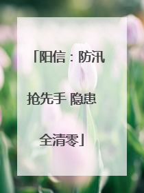 阳信：防汛抢先手 隐患全清零