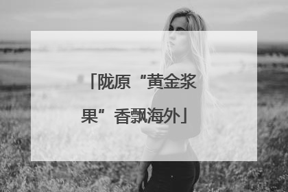 陇原“黄金浆果”香飘海外