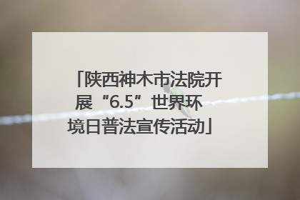 陕西神木市法院开展“6.5”世界环境日普法宣传活动