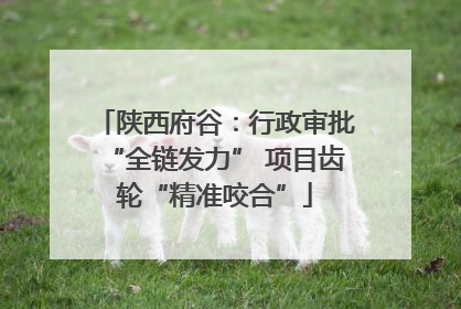 陕西府谷：行政审批“全链发力” 项目齿轮“精准咬合”