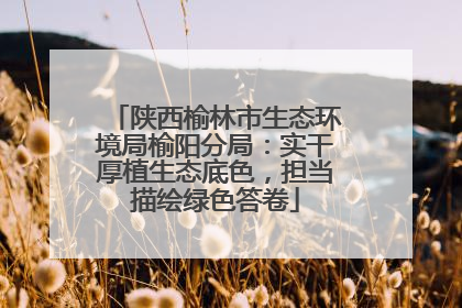 陕西榆林市生态环境局榆阳分局：实干厚植生态底色，担当描绘绿色答卷