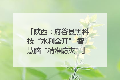 陕西：府谷县黑科技“水利全开” 智慧脑“精准防灾”