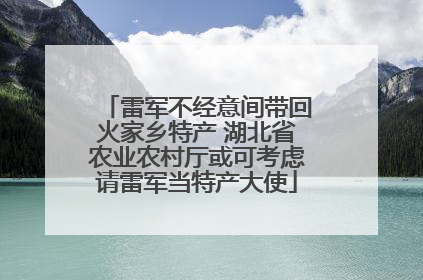 雷军不经意间带回火家乡特产 湖北省农业农村厅或可考虑请雷军当特产大使