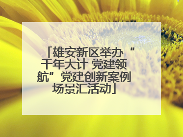 雄安新区举办“千年大计 党建领航”党建创新案例场景汇活动
