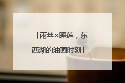 雨丝×睡莲，东西湖的油画时刻