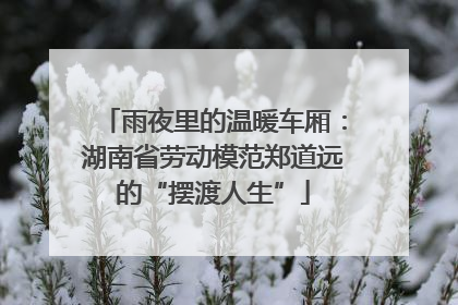 雨夜里的温暖车厢：湖南省劳动模范郑道远的“摆渡人生”