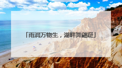 雨润万物生，湖畔舞翩跹