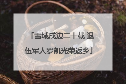 雪域戍边二十载 退伍军人罗凯光荣返乡