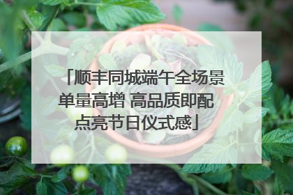 顺丰同城端午全场景单量高增 高品质即配点亮节日仪式感