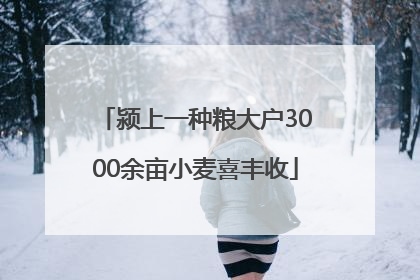颍上一种粮大户3000余亩小麦喜丰收