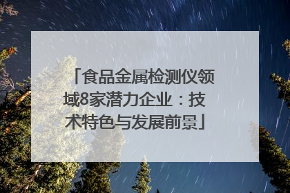 食品金属检测仪领域8家潜力企业：技术特色与发展前景