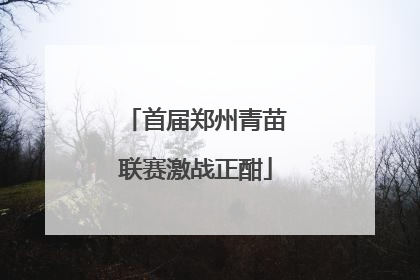 首届郑州青苗联赛激战正酣