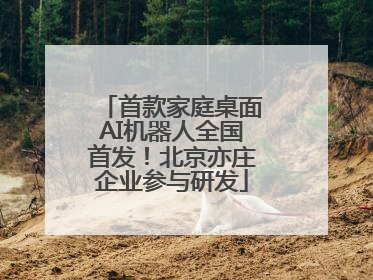 首款家庭桌面AI机器人全国首发！北京亦庄企业参与研发