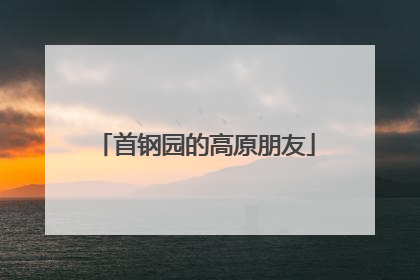 首钢园的高原朋友