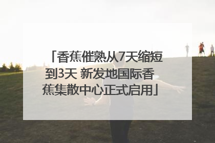 香蕉催熟从7天缩短到3天 新发地国际香蕉集散中心正式启用