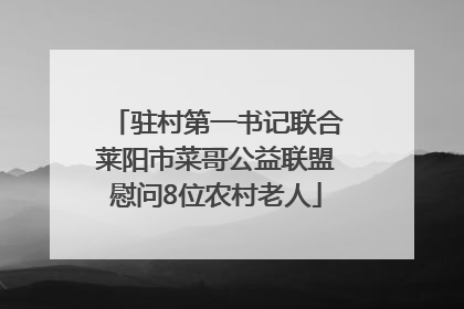 驻村第一书记联合莱阳市菜哥公益联盟慰问8位农村老人