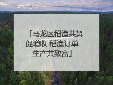 马龙区稻渔共舞促增收 稻渔订单生产共致富