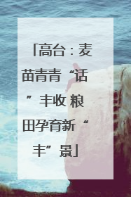 高台：麦苗青青“话”丰收 粮田孕育新“丰”景