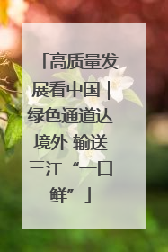 高质量发展看中国｜绿色通道达境外 输送三江“一口鲜”