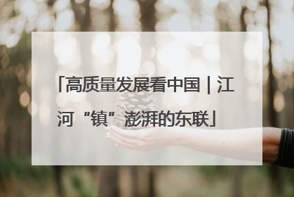 高质量发展看中国｜江河“镇”澎湃的东联