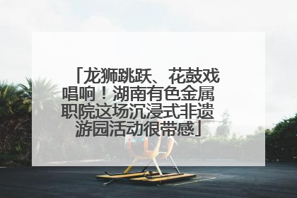 龙狮跳跃、花鼓戏唱响！湖南有色金属职院这场沉浸式非遗游园活动很带感