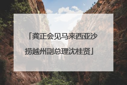 龚正会见马来西亚沙捞越州副总理沈桂贤