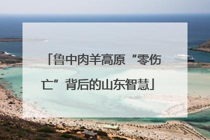鲁中肉羊高原“零伤亡”背后的山东智慧