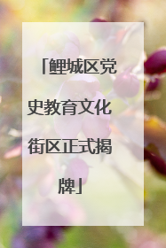 鲤城区党史教育文化街区正式揭牌