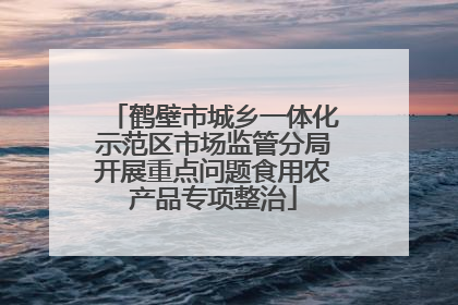 鹤壁市城乡一体化示范区市场监管分局开展重点问题食用农产品专项整治