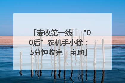 麦收第一线丨“00后”农机手小徐：5分钟收完一亩地
