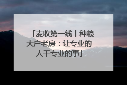 麦收第一线丨种粮大户老房：让专业的人干专业的事