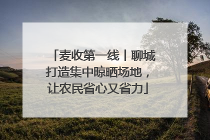 麦收第一线丨聊城打造集中晾晒场地，让农民省心又省力