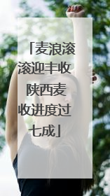 麦浪滚滚迎丰收 陕西麦收进度过七成