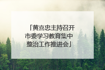 黄喜忠主持召开市委学习教育集中整治工作推进会