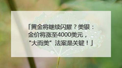 黄金将继续闪耀？美银：金价将涨至4000美元，“大而美”法案是关键！
