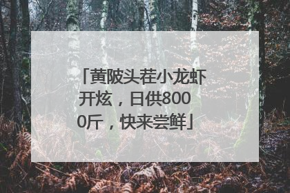 黄陂头茬小龙虾开炫，日供8000斤，快来尝鲜