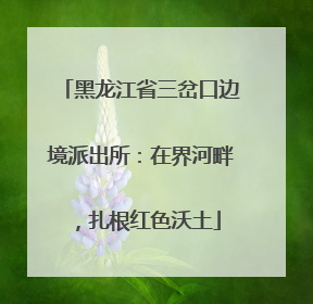 黑龙江省三岔口边境派出所：在界河畔，扎根红色沃土