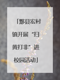 黟县宏村镇开展“扫黄打非”进校园活动