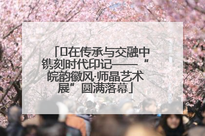 ﻿在传承与交融中镌刻时代印记——“皖韵徽风·师晶艺术展”圆满落幕